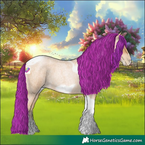 Horse Color:Red Roan Pearl Tobiano Frame