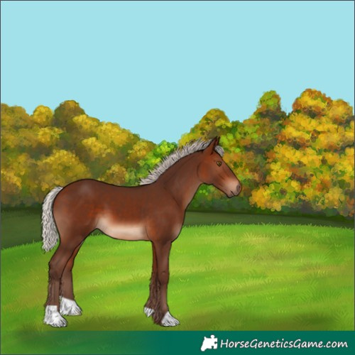 Horse Color:Silver Brown 