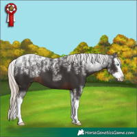 Horse Color:Powder White Liver Chestnut Splash