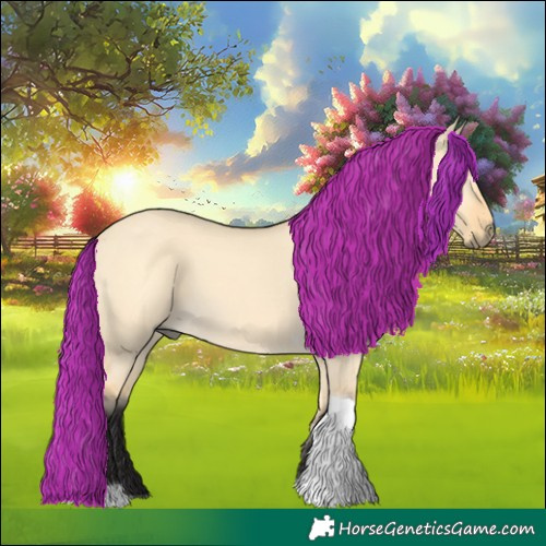 Horse Color:Buckskin Dun Tobiano