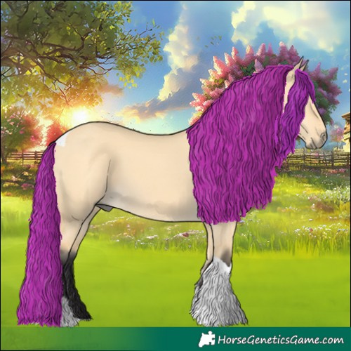 Horse Color:Buckskin Dun Tobiano 
