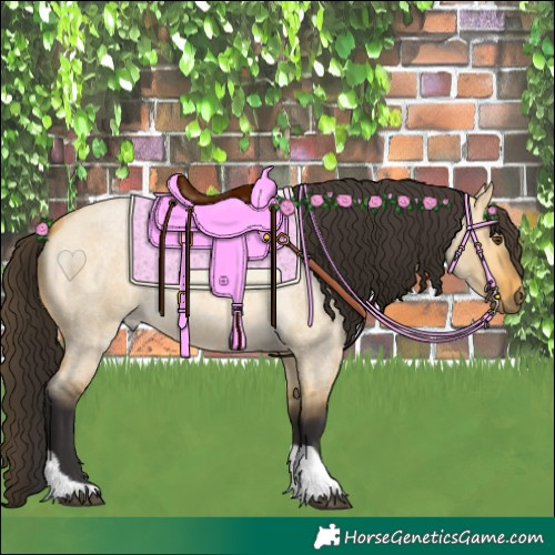 Horse Color:Buckskin Roan Dun Tobiano 