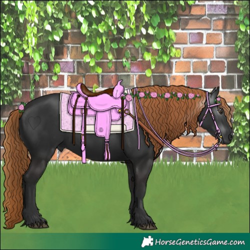 Horse Color:Gray Liver Chestnut Rabicano 