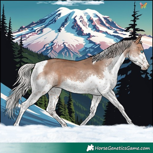 Horse Color:Silver Brown Dun Splash Tobiano