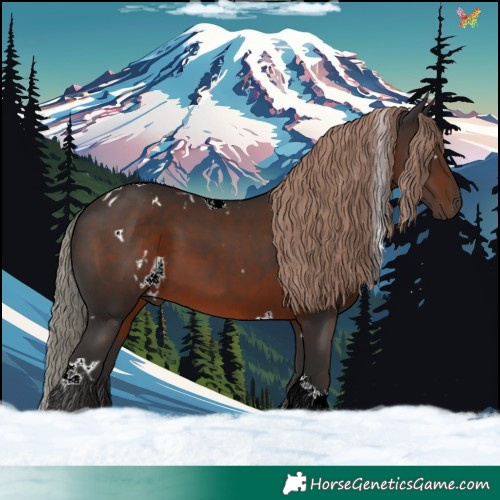 Horse Color:White Spotted Liver Chestnut Tobiano 