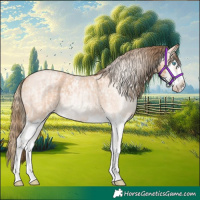 Horse Color:Perlino Roan Splash and Gray Perlino Roan Splash