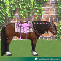 Horse Color:Gray Bay