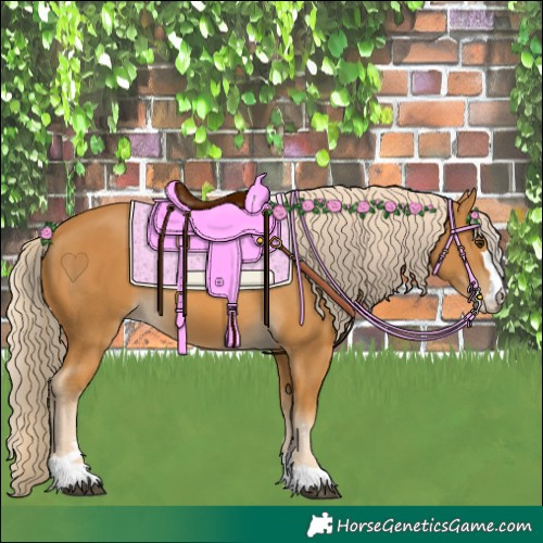 Horse Color:Palomino 