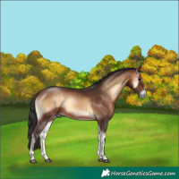 Horse Color:Brown Onyx