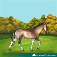 Horse Color:Brown Onyx 