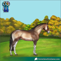 Horse Color:Brown Onyx