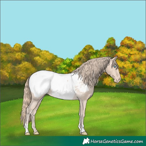 Horse Color:Smoky Creme Snowcap 