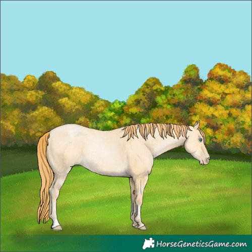 Horse Color:Buckskin Pearl Dun 