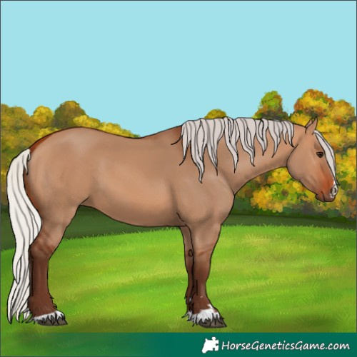 Horse Color:Silver Bay Dun 