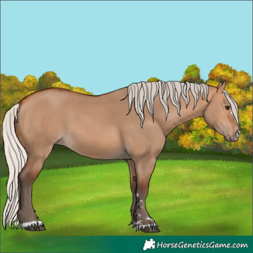 Horse Color:Silver Bay Dun 