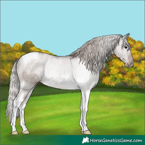 Horse Color:Silver Black Tobiano 
