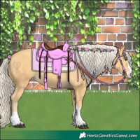Horse Color:Palomino 