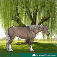 Horse Color:Silver Grullo Tobiano