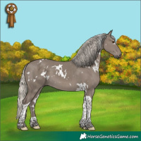Horse Color:White Spotted Silver Smoky Grullo Tobiano