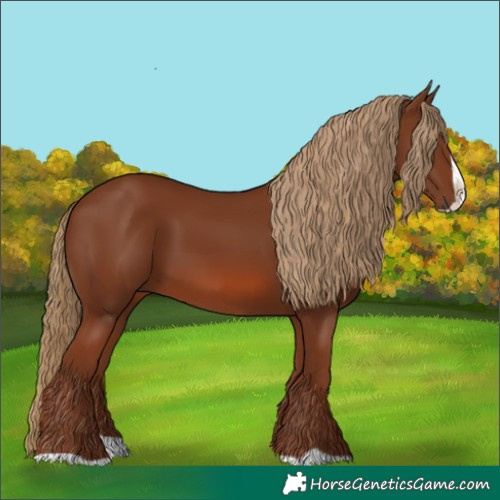Horse Color:Chestnut Splash 