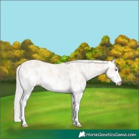 Horse Color:Cremello Sabino  and Cremello Sabino 