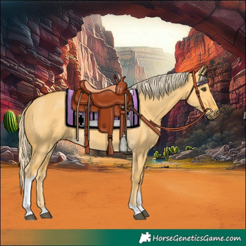 Horse Color:Palomino Dun Tobiano 