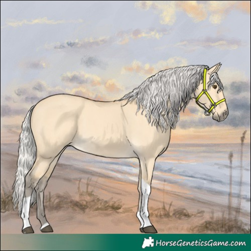 Horse Color:Silver Buckskin Dun Tobiano 