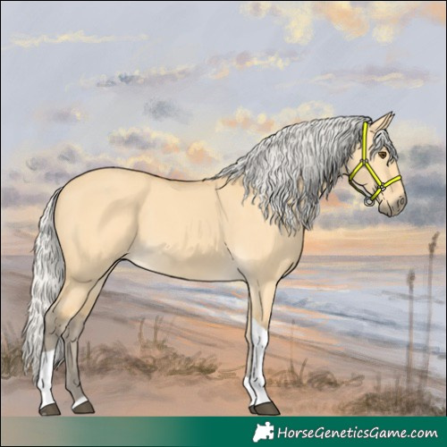 Horse Color:Silver Buckskin Dun Tobiano