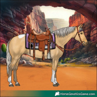 Horse Color:Silver Buckskin Dun Tobiano 
