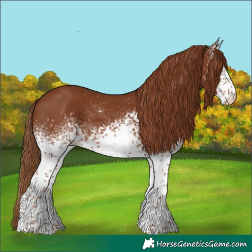 Horse Color:White Spotted Chestnut Tobiano