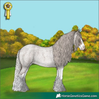 Horse Color:Silver Blue Roan Splash 