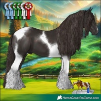 Horse Color:Liver Chestnut Tobiano 