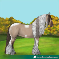Horse Color:Liver Red Dun Tobiano Frame 