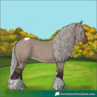 Horse Color:Silver Brown Dun Tobiano 