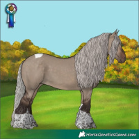 Horse Color:Silver Brown Dun Tobiano