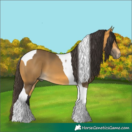 Horse Color:Buckskin Tobiano
