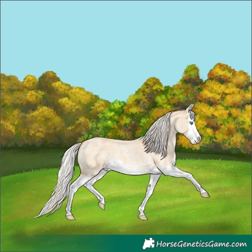Horse Color:Silver Classic Cream Champagne Roan Dun Splash 