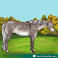 Horse Color:Platinum Chocolate Silver Brown Dun 