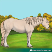 Horse Color:Perlino 