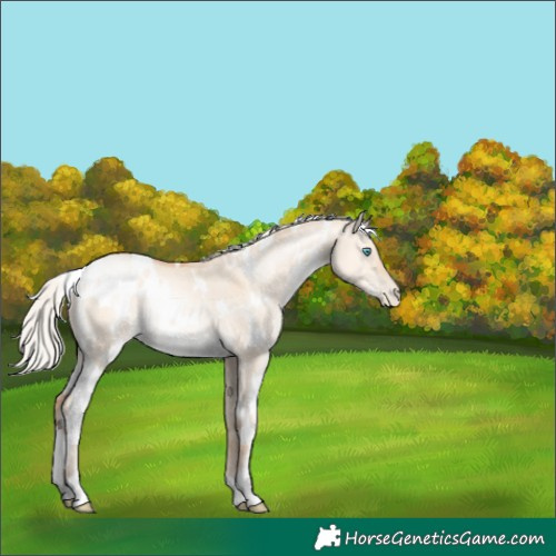 Horse Color:White Spotted Silver Sable Champagne Pearl Dun Rabicano 