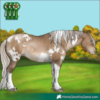 Horse Color:Gray White Spotted Silver Brown Pearl Dun Tobiano 