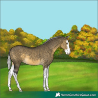 Horse Color:Silver Buckskin Dun Mushroom Sabino Splash