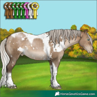 Horse Color:Gray White Spotted Silver Brown Pearl Dun Tobiano 