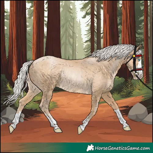 Horse Color:Silver Buckskin Pearl Rabicano 