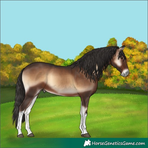 Horse Color:Liver Red Onyx Tobiano 