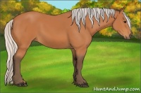 Horse Color:Silver Bay