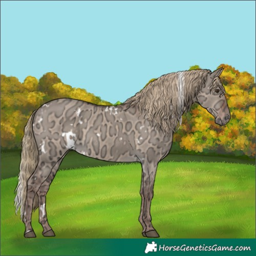 Horse Color:White Spotted Liver Red Dun Ice 
