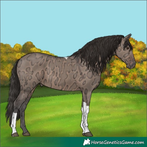 Horse Color:Liver Red Dun Ice Tobiano 