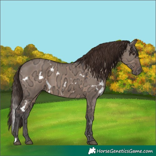 Horse Color:White Spotted Liver Red Dun Ice 
