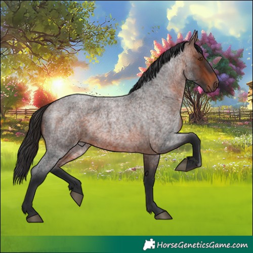 Horse Color:White Spotted Brown Roan 